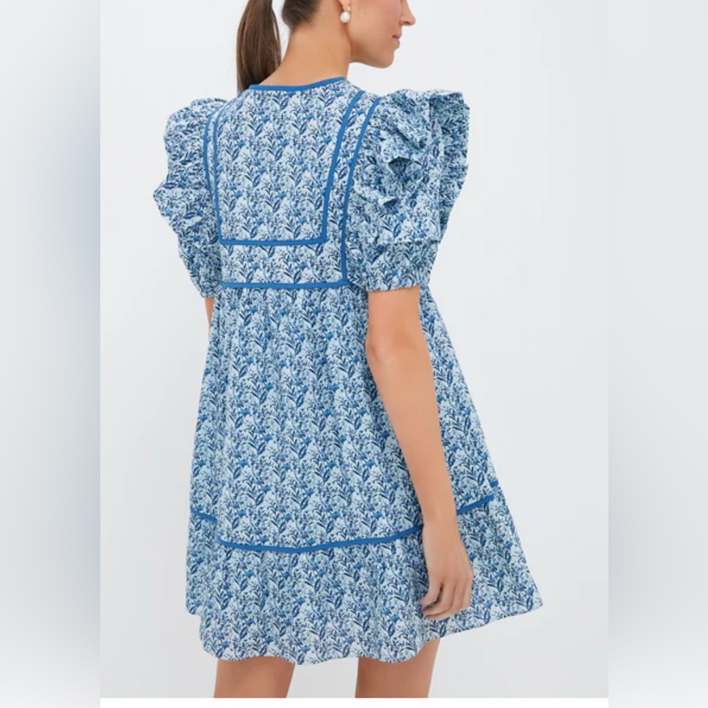 Blue Floral Ruffle-Sleeve Mini Dress - Picture 9 of 11